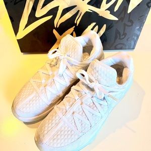 NIKE LEBRON XVII LOW WHITE/PURE PLATINUM US MEN SZ 8.5